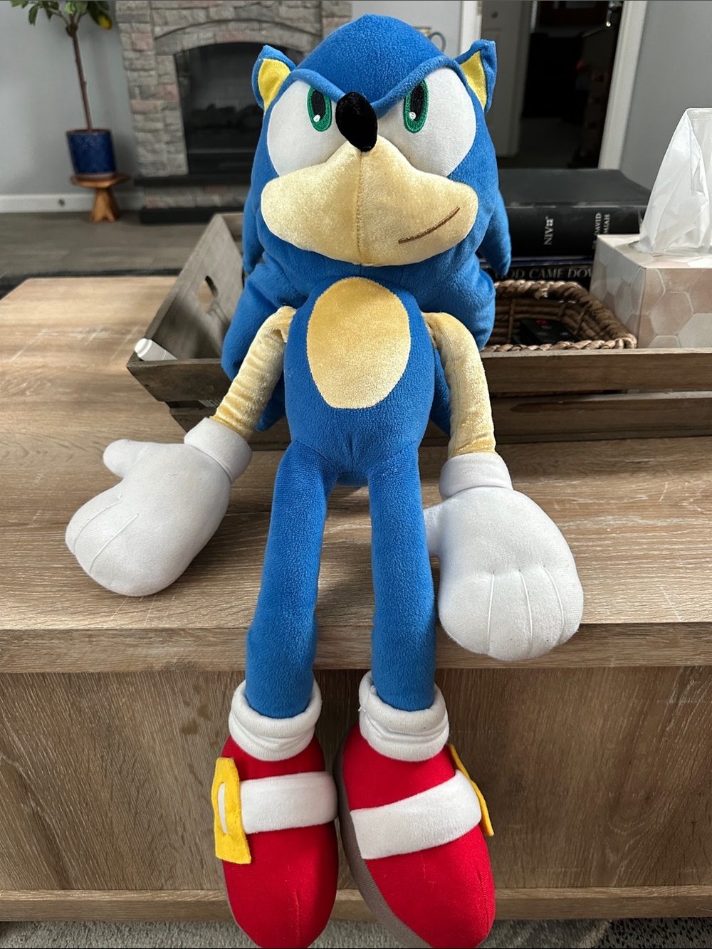 Sonic the Hedgehog Large sit-up stuffed toy. So cute!! 24”